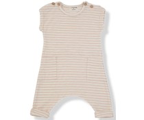 1 + in the family Jumpsuit Matisse Alba 1 + in the family Jumpsuit Matisse Alba