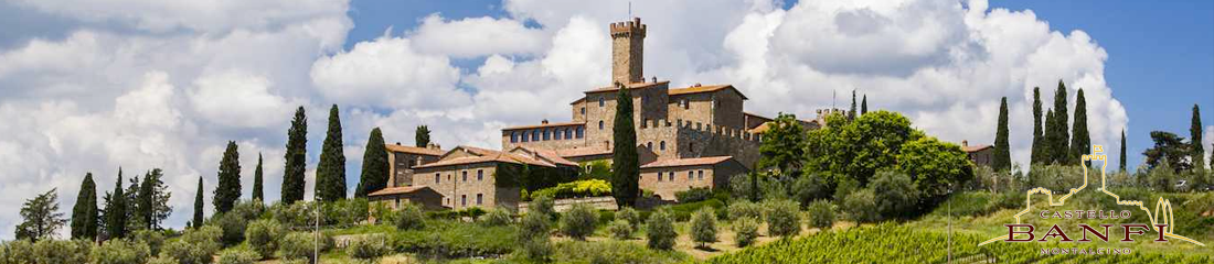 Castello Banfi Col di Sasso