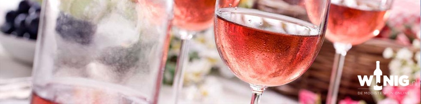 Rosé All Day!