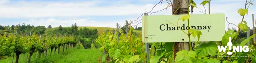 Chardon-yay: de dikke chardonnay