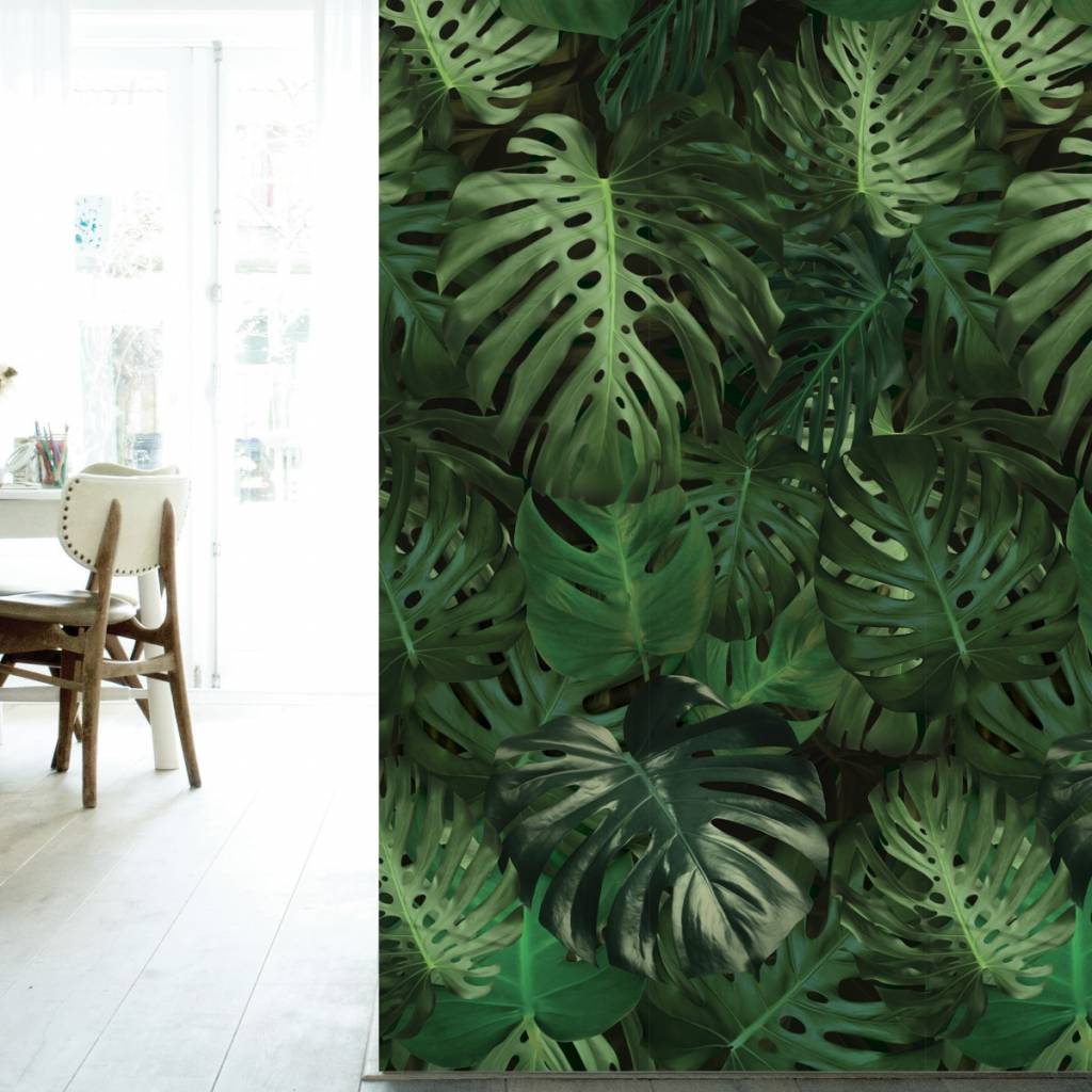 KEK Amsterdam Monstera botanic wallpaper - LIVING AND CO.