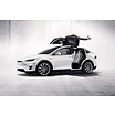 Tesla Model X laadpalen