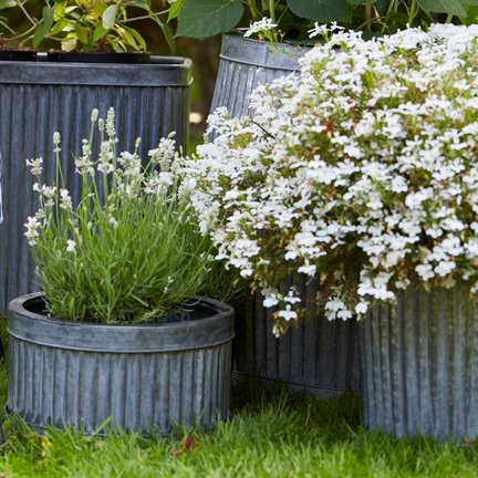 Riverdale pots