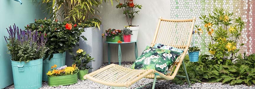 Kamerplanten in de zomer buiten zetten