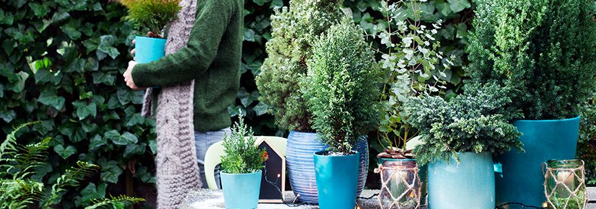Uw planten buiten in de gaten houden