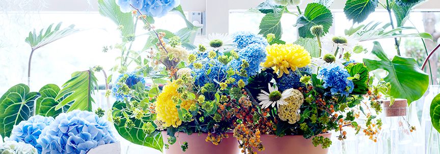Woonplant van de maand april is de Hortensia