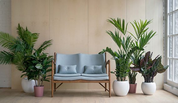 Gaat u mee met de Urban Jungle trend?