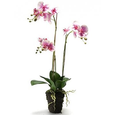 Orchidee Fuchsia kunstplant