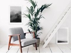 Bilder & Poster