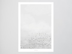 Artikel mit Schlagwort Poster skandinavisch