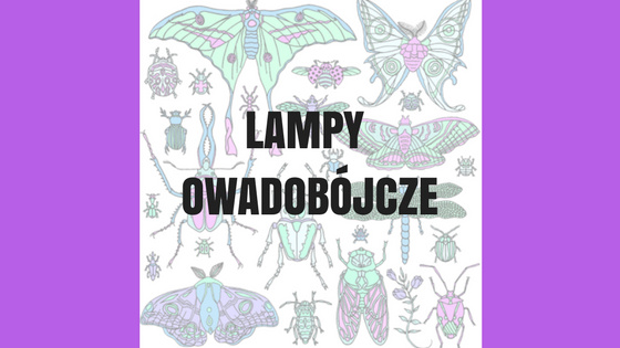 Rozmieszczenie lamp owadobójczych w lokalu