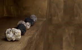 truffels
