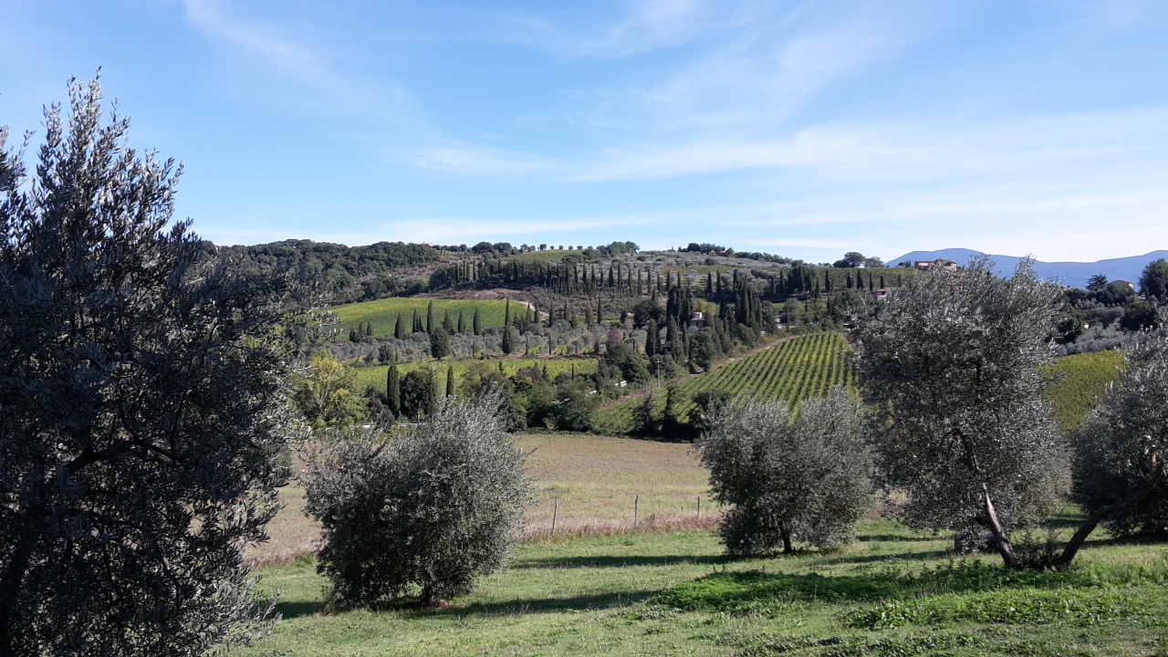 Montalcino natuur
