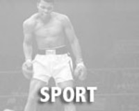 Sport Merchandise