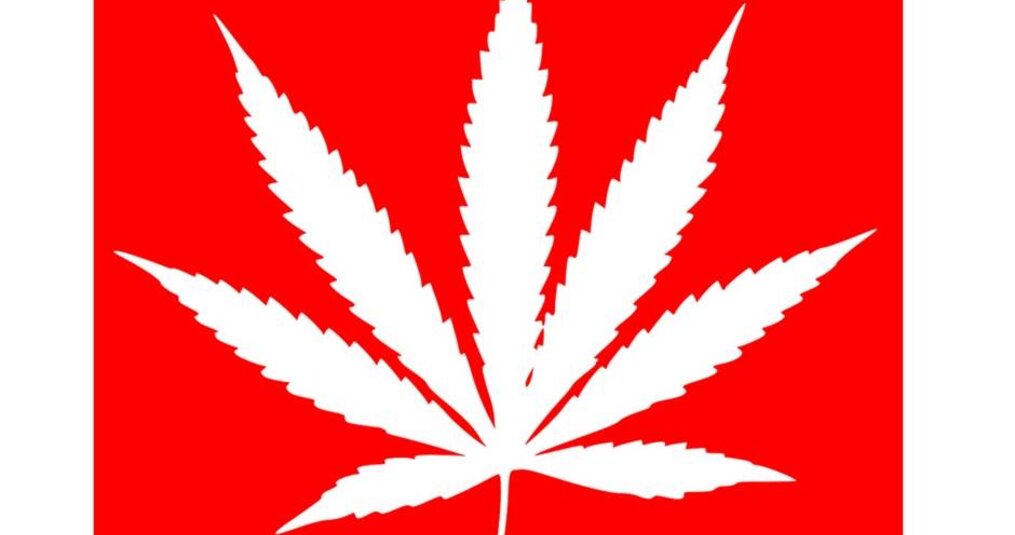 Het potentieel gunstige effect van CBD druppels