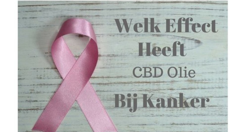 Welk effect heeft CBD olie bij kanker?