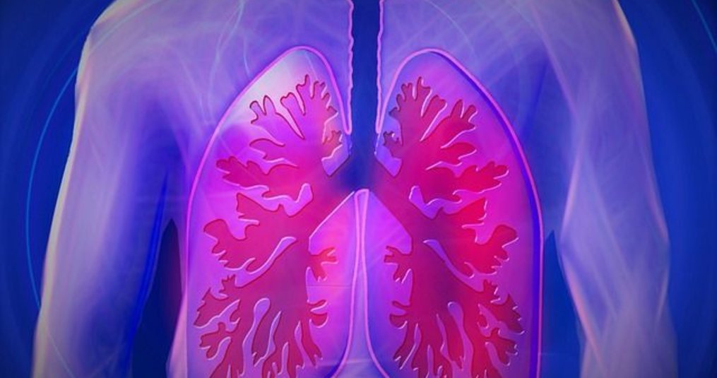 De meerwaarde van een CBD olie bij COPD
