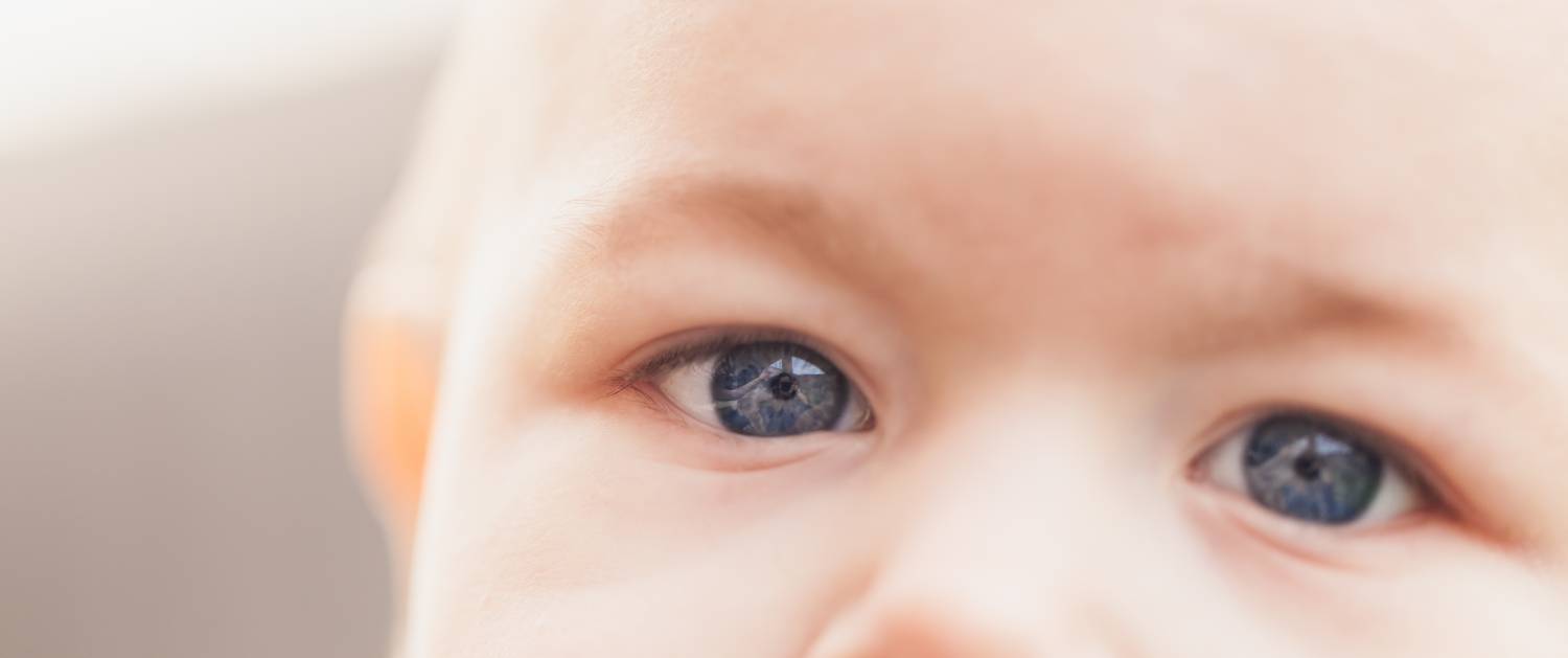 Bambo: beste bescherming voor babybilletjes