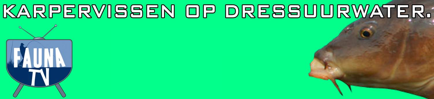 Karpervissen op dressuurwater