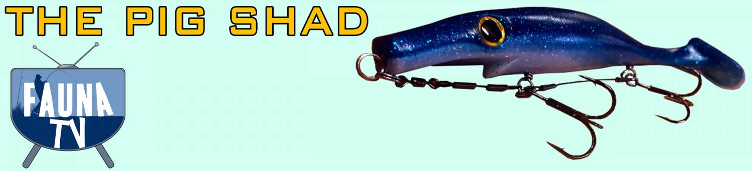 The Pig Shad