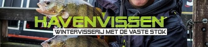 Fauna TV - Havenvissen