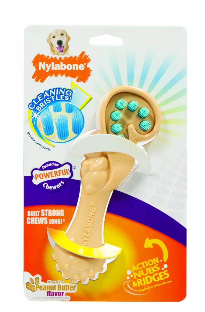 Nylabone Dental Chew Bristle Brush Large.