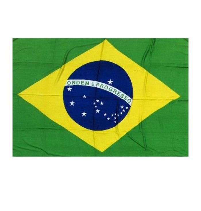 De vlag van Brazilië