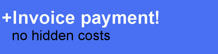 invoice payment