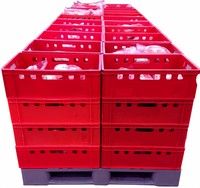 Meat crates E2