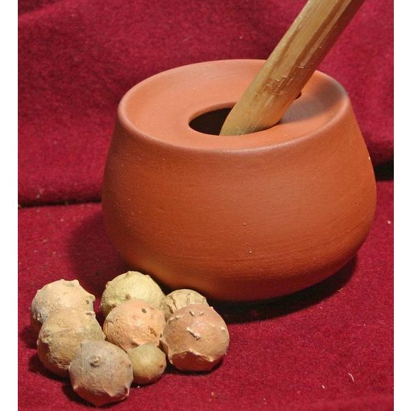 Nuez de agalla para tinta (80 gramos)