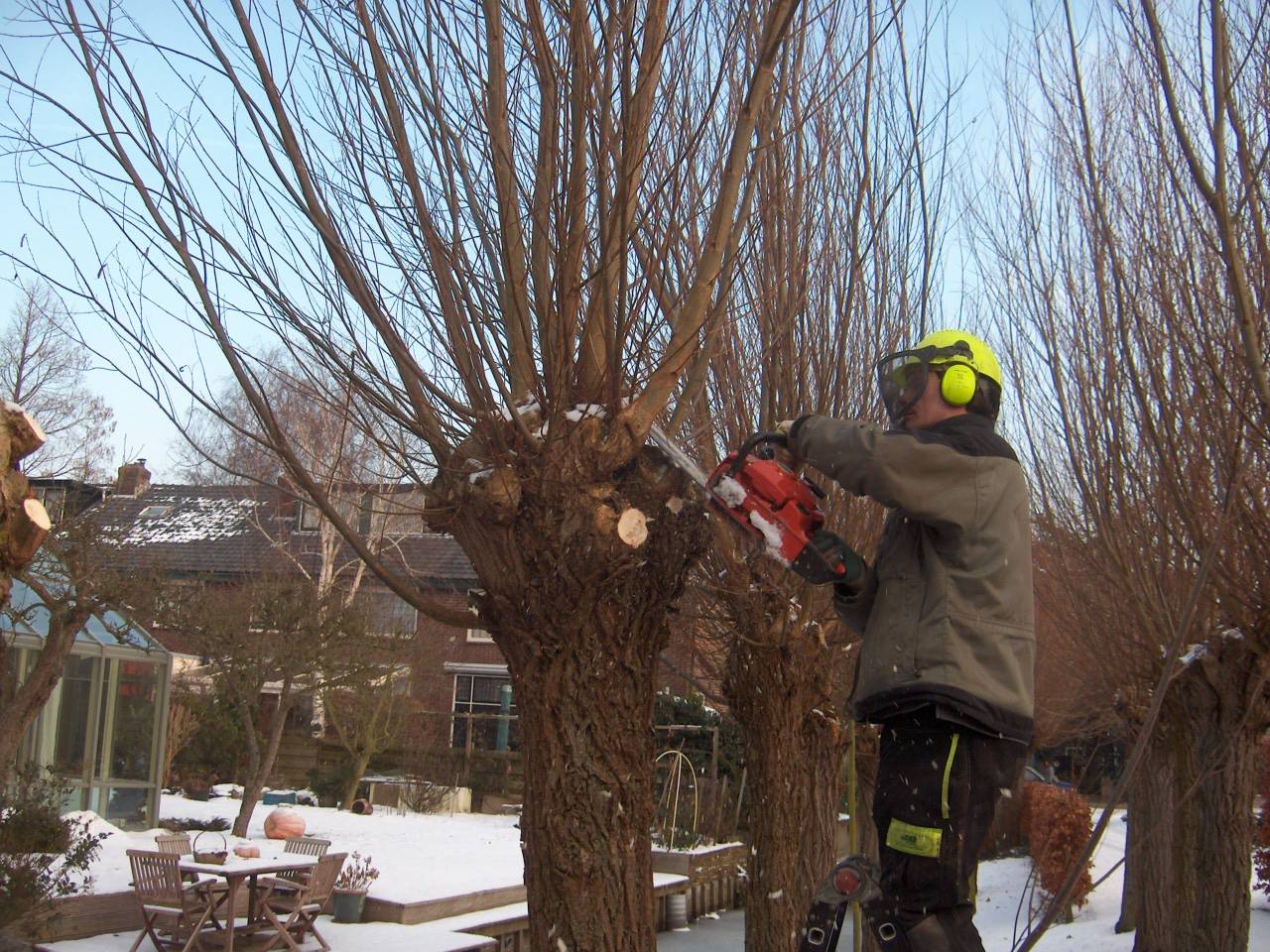 - Wat kun je doen in de winter?