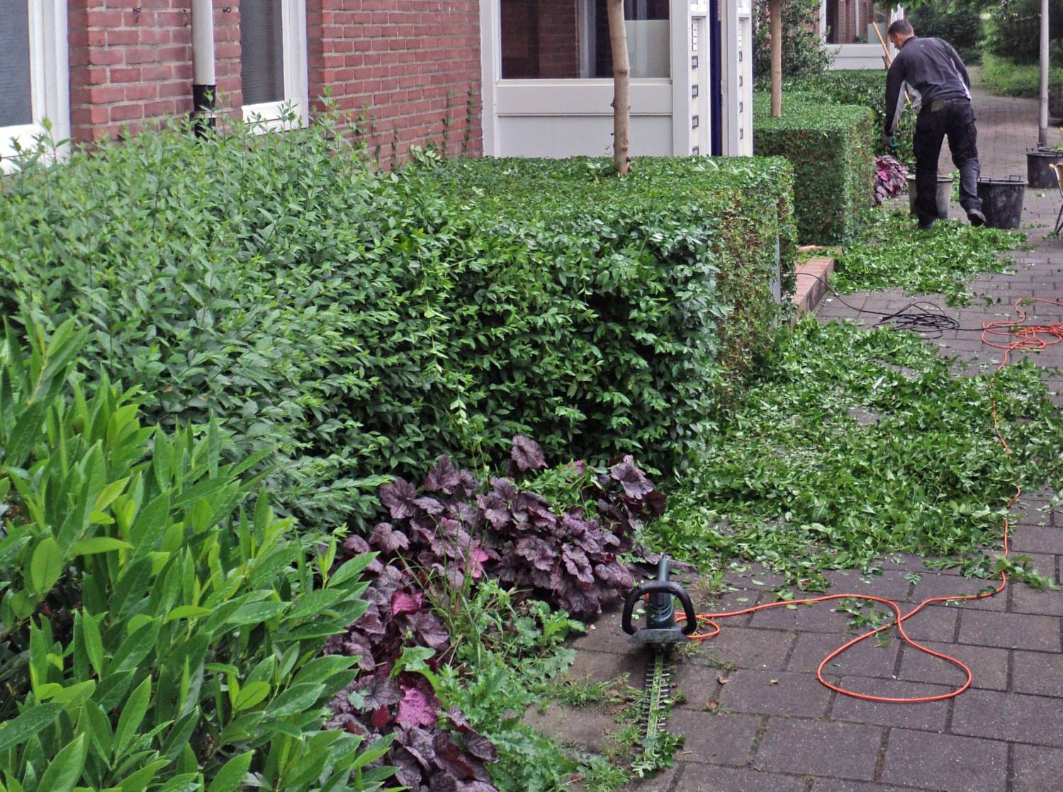 - Lekker bezig in de tuin