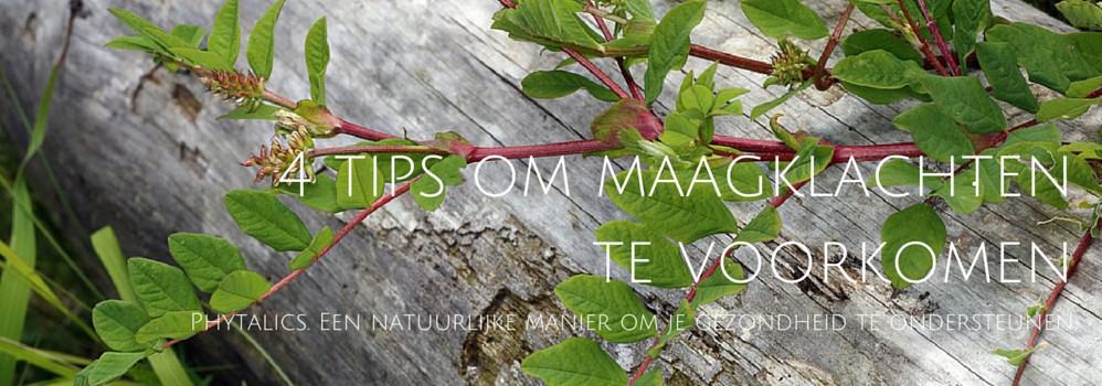 4 tips om maagklachten te voorkomen