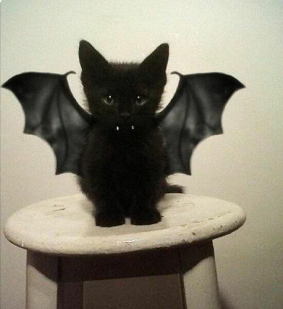 31 oktober HALLOWEEN