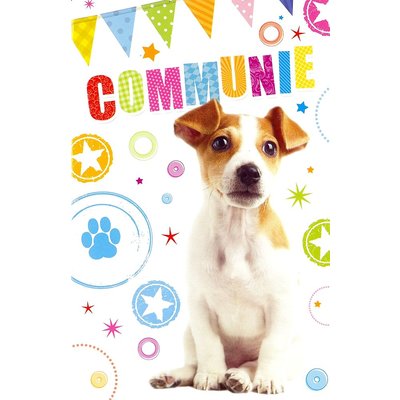 Wenskaart 'Communie'