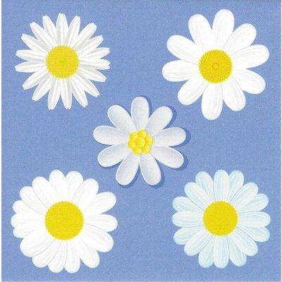 'Universal' Greeting Card