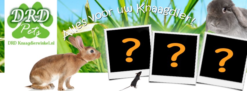 De Facebook omslagfoto