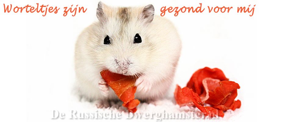 Hamsters en Wortels