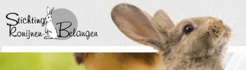 Chippen: ook voor konijnen