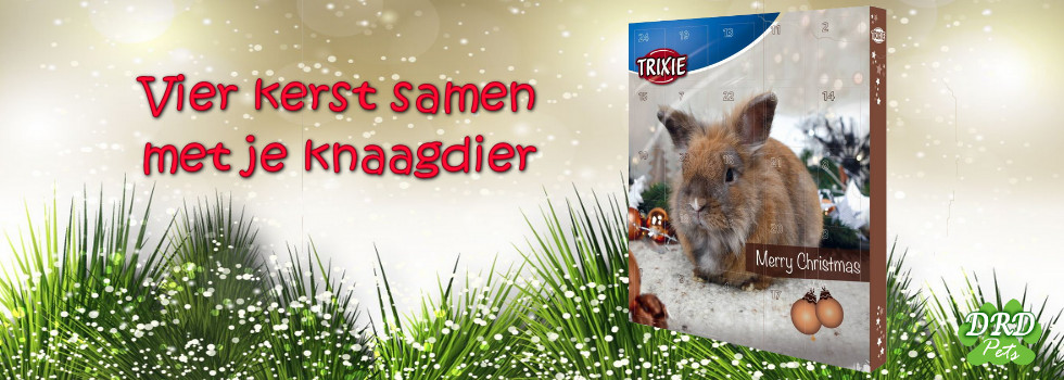 Adventskalender voor knaagdieren