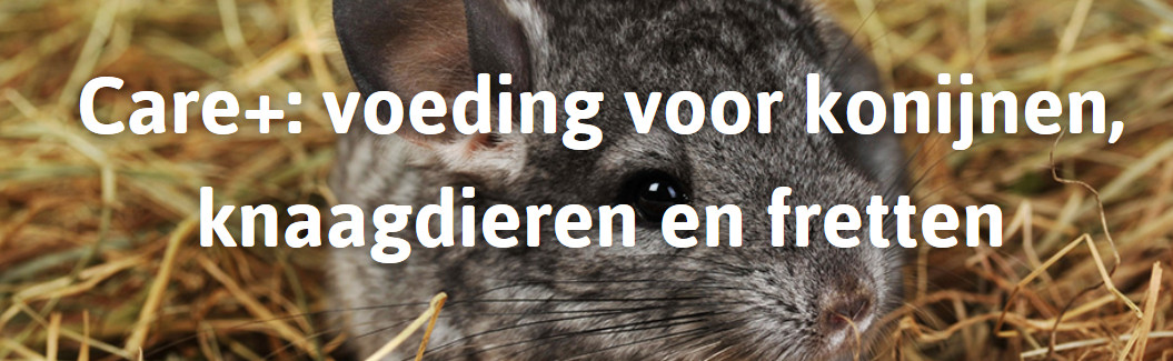 Care+ Voeding voor knaagdieren