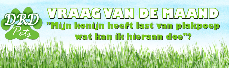 Mijn konijn heeft last van plakpoep, wat kan ik hieraan doen?