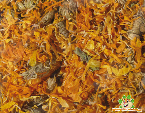 Nagertraum Marigold 130 Gramm