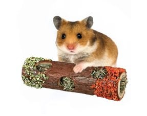 Everything for your Hamster in the Hamster Webshop! | DRD Rodent Webshop