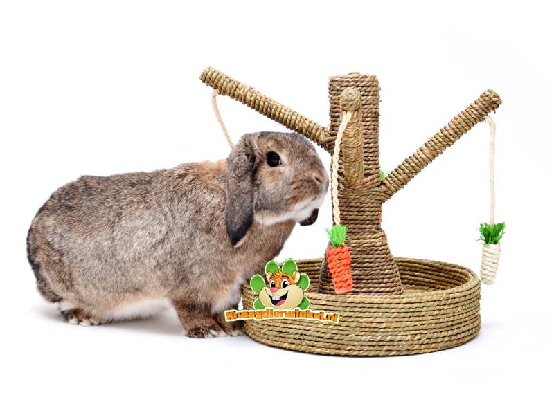 toys for rabbits and rabbit toys