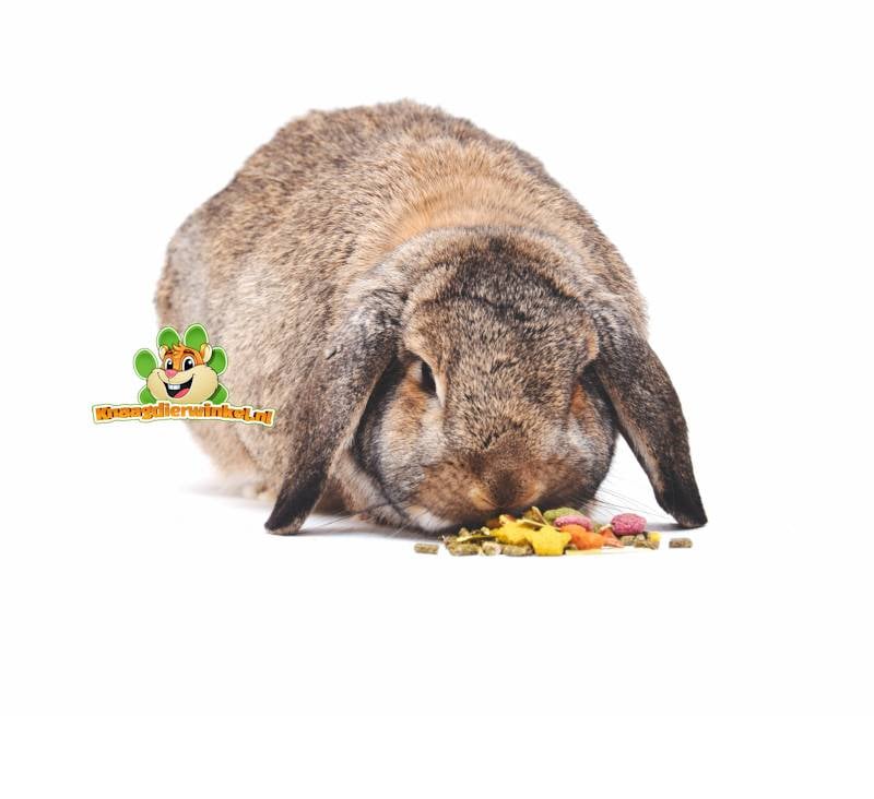 konijnenvoer en natuurlijke konijnenvoeding voor konijnen, voer voor je konijn