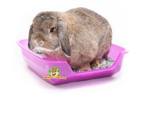 Kaninchen-Toilette für Ihr Kaninchen