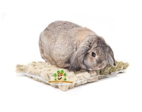 Informationen zur Bodenbedeckung von Kaninchen für Ihr Kaninchen