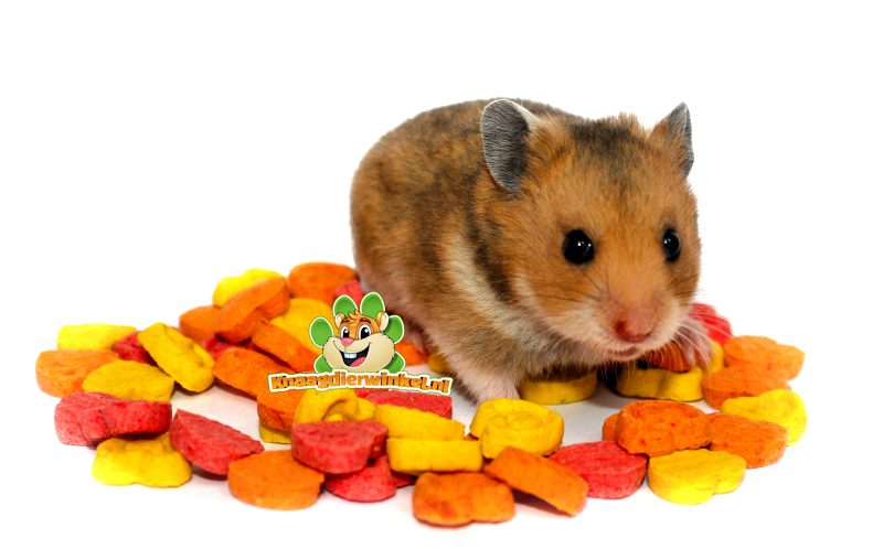 rodent snacks for mouse, hamster, rat, gerbil, rabbit. guinea pig, chinchilla and degu