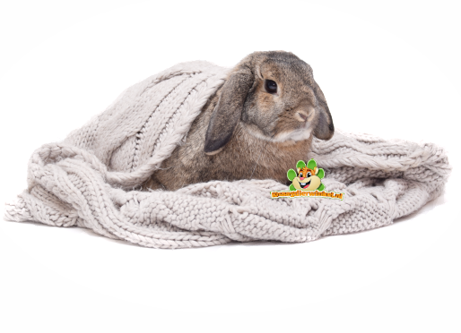Bodendecker und Nistmaterial für Nagetiere und Kaninchen und Maus, Zwerghamster, Hamster, Rennmaus, Ratte, Meerschweinchen, Kaninchen, Chinchilla und Degu